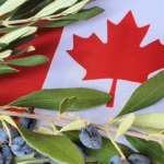Canadian Awards 2021: è canadese il premio più ambito dai produttori mondiali di olio d’oliva