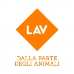 Sperimentazione animale: il ministero della salute pubblica i dati allarmanti del 2018. LAV chiede che si prendano i giusti provvedimenti.