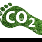 simbolo-o-concetto-di-impronta-di-carbonio-impronta-a-piedi-nudi-fatta-di-erba-verde-lussureggiante-con-testo-co2-2atnk35
