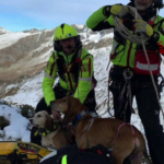 Salvati due cani in difficoltà in alta quota nel bresciano