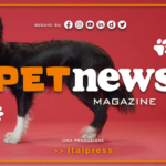 PetNews Magazine - 7/3/2023