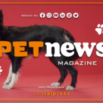 PetNews Magazine - 21/3/2023