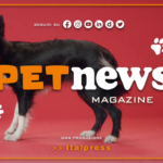 PetNews Magazine - 28/3/2023