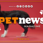 PetNews Magazine - 25/4/2023