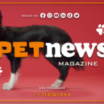PetNews Magazine - 11/4/2023