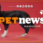 PetNews Magazine - 6/6/2023