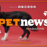 PetNews Magazine - 18/7/2023