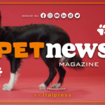 PetNews Magazine - 25/7/2023