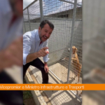 Salvini visita canile "Importante aprire le porte ai cuccioli"