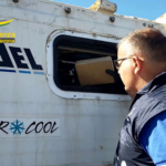 Controlli in porto a Vado Ligure, sequestrati 154 kg di cocaina