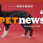 PetNews Magazine - 19/9/2023