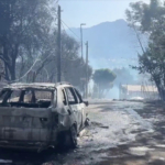 Incendi nel Palermitano, 21 interventi dei Vigili del fuoco