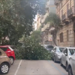 Alberi caduti per il forte vento a Palermo
